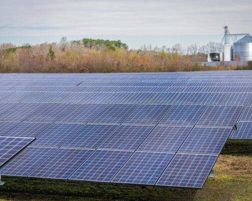 pexels-nc-farm-bureau-mark-15751130