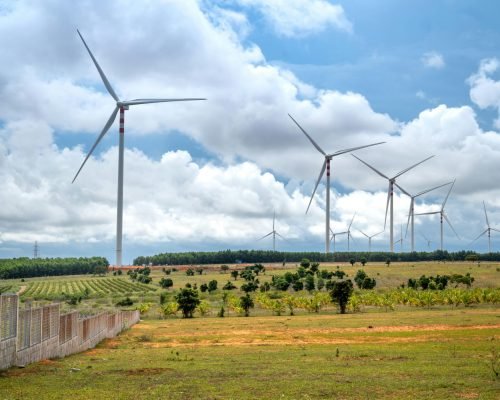 pexels-quang-nguyen-vinh-222549-14036362